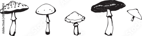 A set of mushrooms. Hand drawn vector illustration