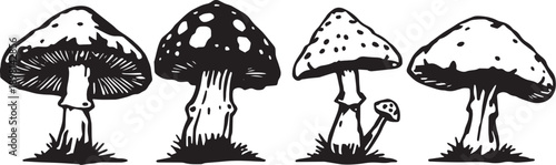 A set of mushrooms. Hand drawn vector illustration