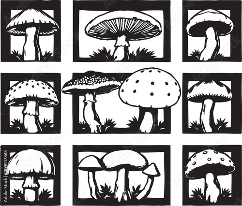 A set of mushrooms. Hand drawn vector illustration
