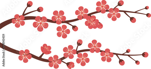 Cherry Blossom Sakura Branch Line Art Illustration with Traditional Japanese Spring Flowers