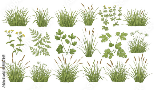 Realistic grass tufts and meadow herbs vector illustration isolated on transparent background