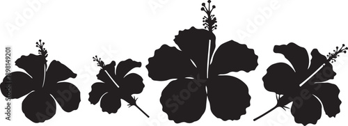 Black silhouette hibiscus flower with pistil and stamens on white background close up view