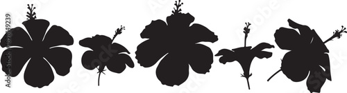 Black silhouette hibiscus flower with pistil and stamens on white background close up view