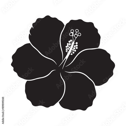 Black silhouette hibiscus flower with pistil and stamens on white background close up view