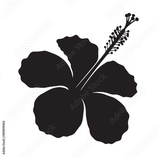 Black silhouette hibiscus flower with pistil and stamens on white background close up view