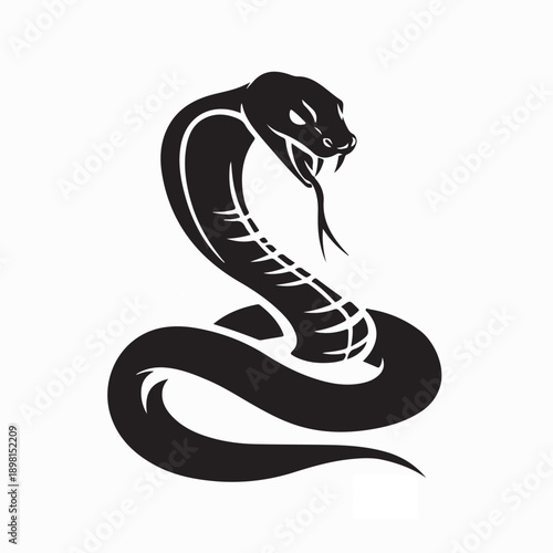 A Coiled Snake With An Open Mouth And Forked Tongue Image Vector