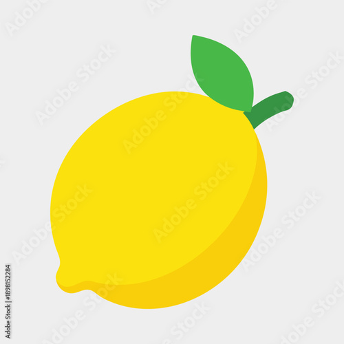lemon vector illustration