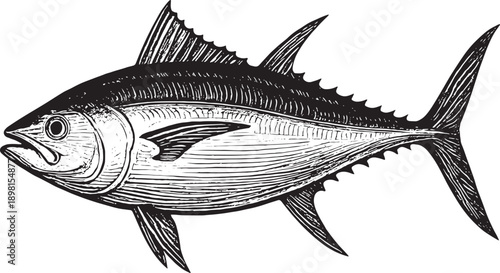Black and White Hand Drawn Marlin Fish Illustration Isolated on White Background