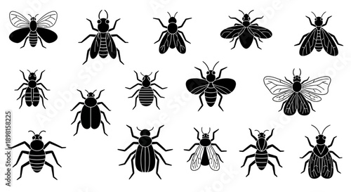 A detailed black silhouette illustration set of insects arranged in a grid, representing scientific study, entomology, biodiversity, and educational reference visuals; ideal for biology textbooks, res