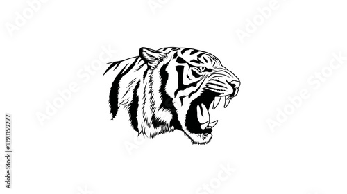 Roaring Tiger Head Vector Illustration. Angry Big Cat Predator Graphic Design Element in Black and White.