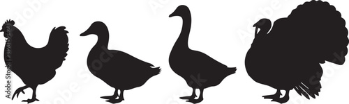 four animal silhouettes pigeon crow duck rooster