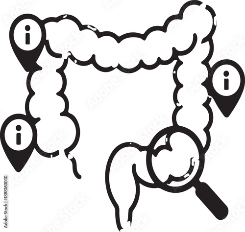 Colon anatomy icon with information pointers and magnifying glass for examination