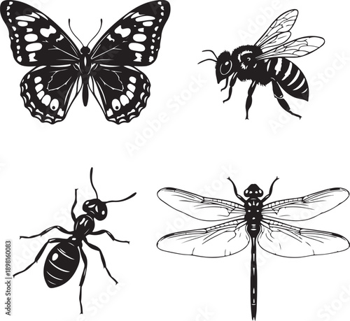 insects silhouette set butterfly bee ant dragonfly