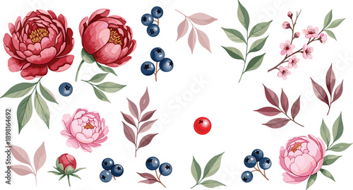Floral Botanical Vector Illustration Set with Peony Flowers, Leaves, Berries, and Blossoming Branches for Wedding, Nature, and Elegant Design Projects
