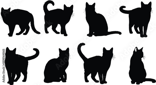 Collection of Black Cat Silhouettes in Various Poses