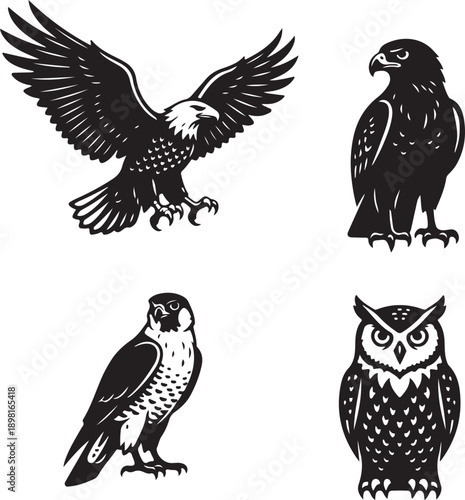 eagle hawk falcon owl