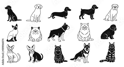 A collection of diverse dog and cat breeds, presented in a clean, illustrative, black and white line art style, showcasing various poses and body types.