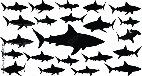 Shark Silhouette Vector Illustration Set with Different Shark Species in Black Outline Style for Ocean Wildlife, Marine Biology, and Graphic Design Projects