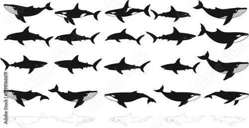 Whale and Shark Silhouette Vector Illustration Set with Marine Animals in Different Swimming Poses for Ocean, Wildlife, and Nautical Design Projects