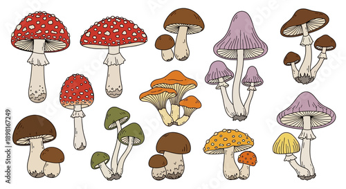 A vibrant collection of hand-drawn cartoon mushrooms in various shapes, sizes, and colors, including red, brown, purple, and orange fungi.