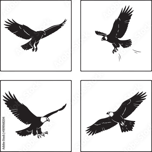 Flat design flying birds silhouette collection with hawk falcon eagle kite.