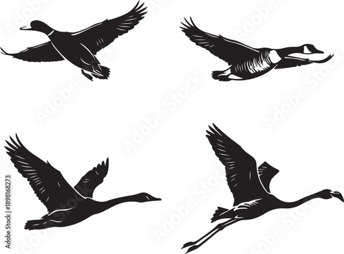 Flat design flying birds silhouette set with duck goose swan flamingo