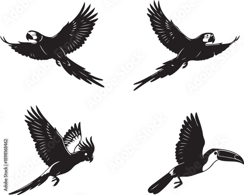 Flat design tropical flying birds silhouette set with parrot macaw cockatoo toucan