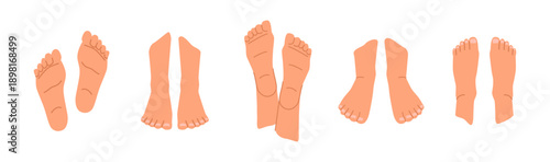 Woman or man legs and ankles, feet and fingers. Vector isolated cartoon female or male body part, top and bottom views. Spa salon or massage treatment and wellness. Human walking barefoot