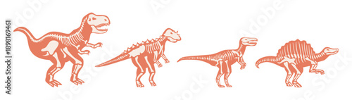 Ancient predators skeletons, isolated set of dinos fossils. Vector animal of Jurassic period with big teeth. Aggressive beasts, angry lizards from Polynesian era, monsters. Paleopathology and wildlife