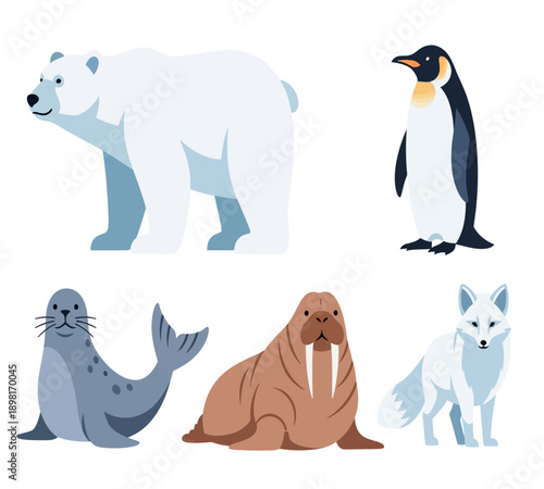Arctic Animal Clipart Collection for Winter and Education
