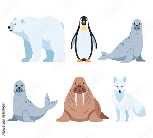 Arctic Animal Clipart Collection for Winter and Education
