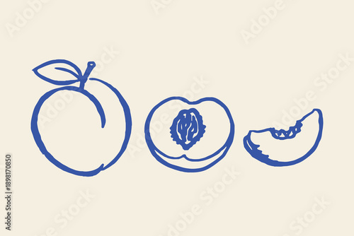 Peach whole half slice doodle fruit line art vector illustration