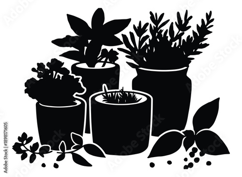 Silhouette of potted herbs and plants in pots kitchen garden botanical illustration
