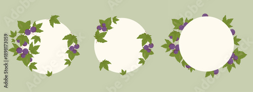 Blackcurrant Round Botanical Frames with Empty Copy Space Set. Isolated Fruit Wreaths, Organic Food Labels with Branches Berries and Leaves on White Background template. Vector illustration