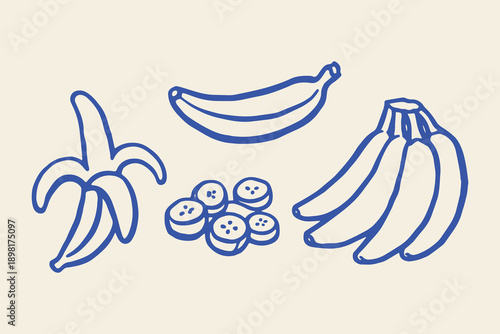 Banana whole sliced bunch doodle fruit line vector illustration
