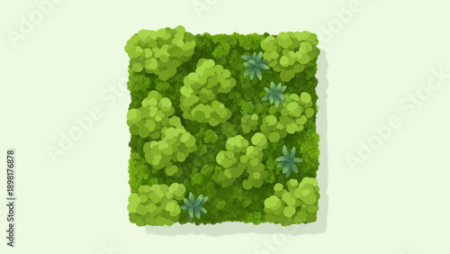 Top-down view of a lush green moss wall with scattered succulent plants