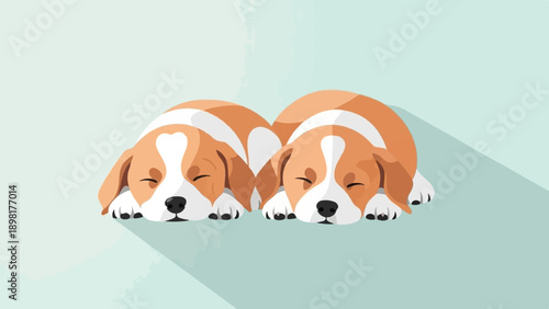 Two adorable puppies sleep peacefully side by side