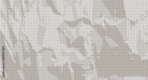 Old paper background with halftone and grain texture. Book page with noise