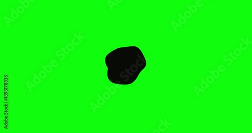 Organic black liquid blob expansion and contraction transition on green screen. Abstract ink wipe effect for professional video editing
