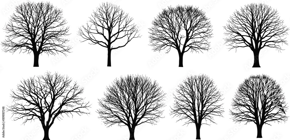 Ταπετσαρία Black silhouette bare trees collection on white background vector