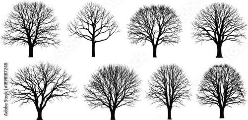 Black silhouette bare trees collection on white background vector