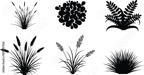 Black silhouette collection of various plants and grasses on white background vector