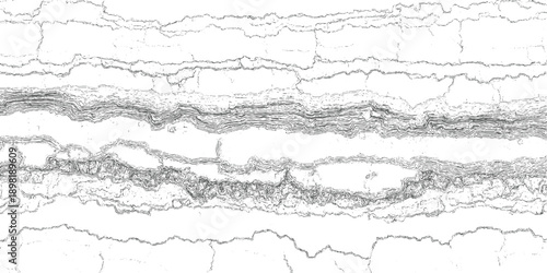 Abstract monochrome contour lines depicting layered geological strata or cracked earth texture