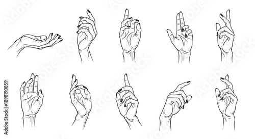 Extensive collection of detailed hand-drawn sketches showing various human hand gestures and positions in a black and white style.