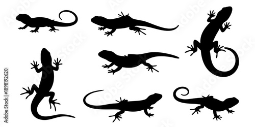 Various lizards in different poses illustrated in black silhouettes on a clean background from multiple viewpoints