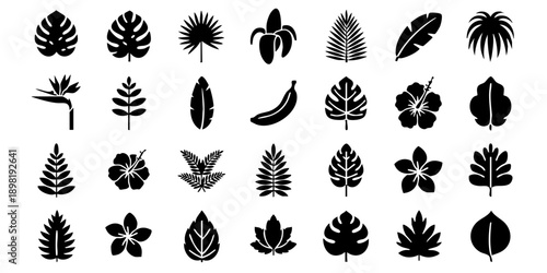 Collection of various black silhouettes of leaves and plants on a plain white background viewed from directly above