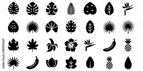 Collection of black silhouettes of various tropical leaves and fruits displayed against a clean background from a direct viewpoint