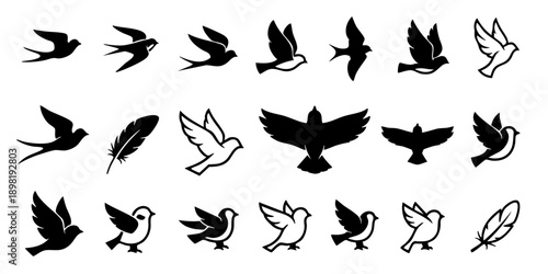 Collection of various bird silhouettes and illustrations in different poses and flight patterns