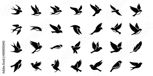 Collection of birds in various flight poses and silhouettes against a clean background