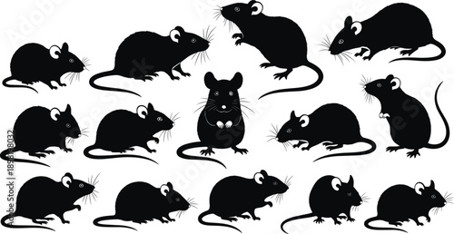 Collection of black silhouettes of rats and mice standing, sitting and running isolated on white background